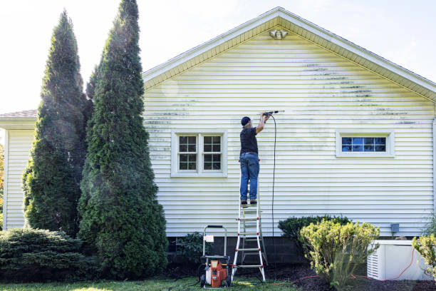 Best Solar Panel Cleaning  in Saratoga, WY